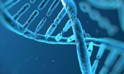 ویروس‌های باستانی و توالی آنها در DNA می‌تواند به اختلالات روان پزشکی منجر شود