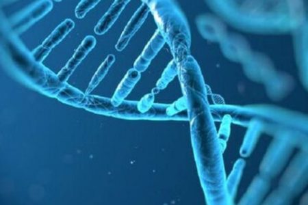 ویروس‌های باستانی و توالی آنها در DNA می‌تواند به اختلالات روان پزشکی منجر شود