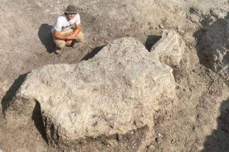 کشف جالب فسیل دایناسور توسط سه دانش آموز