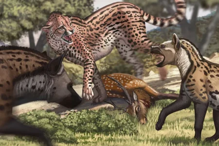 کشف بزرگترین یوزپلنگ تاریخ با جثه‌ای به اندازه‌ی شیر