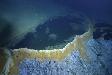 حوضچه مرگ : تله شور و سمی در خلیج مکزیک