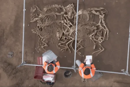 کشف بقایای اسب های قربانی در گورستان باستانی فرانسه