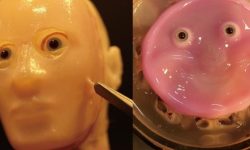 محققان ژاپنی از پوست زنده برای چهره ربات‌ها استفاده کردند