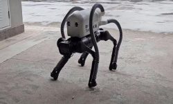 ساخت یک سگ رباتیک مستقل و تخصصی برای جمع آوری زباله‌ها