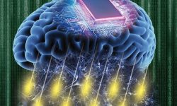 روش جدید محققان برای کنترل ذهن با استفاده از آهنربا و از راه دور