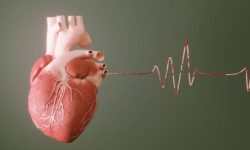توسعه تست خانگی سریع برای تشخیص اولیه نارسایی قلبی