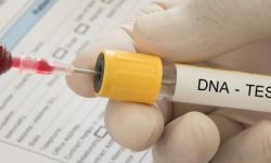 تست DNA به عاملی برای درخواست شهروندی در کشورهای دیگر تبدیل شد