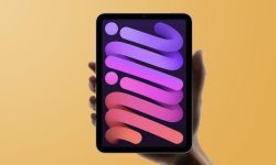 احتمال معرفی نسل جدید تبلت iPad mini اپل در اواخر سال جاری وجود دارد