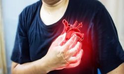 محققان از زهر عنکبوت برای درمان حمله قلبی استفاده کردند