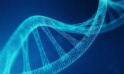 دانشمندان برای ذخیره سازی داده‌ها از DNA استفاده کردند