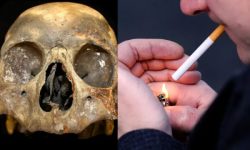 اثرات مخرب سیگار حتی پس از مرگ نیز وجود دارد
