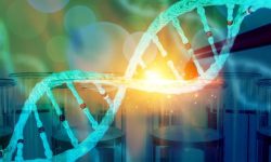 پروتئین کشف شده نقش مهمی در همانندسازی DNA بازی می‌کند