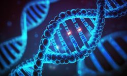 محققان چینی داده‌های تصویربرداری MRI را در مولکول DNA ذخیره کردند
