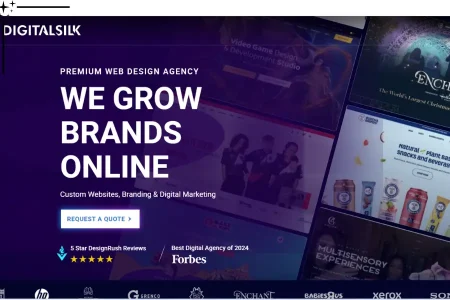 اگر به دنبال طراحی سایت حرفه ای هستید، این ۳ شرکت برتر را بشناسید!