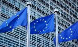 مرکز فناوری اطلاعات استونی گزینه‌های اروپایی به جای Microsoft را بررسی کرد